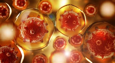 Buy Ayurvedic Medicine and Products Online - Pankajakasthuri Herbals