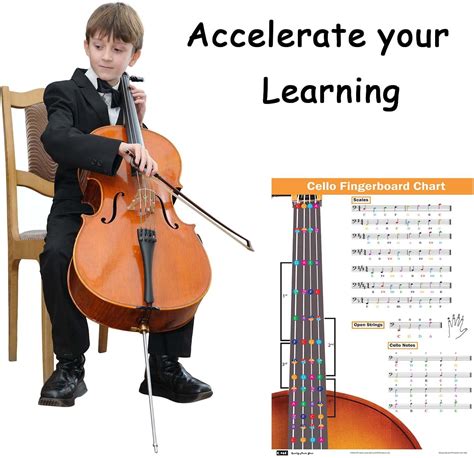 Color-coded Cello Fingering Chart for All Levels Qatar | Ubuy