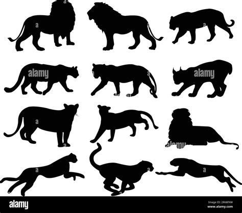 Jaguar silhouette hi-res stock photography and images - Alamy