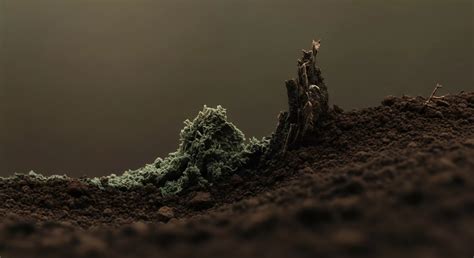 Image result for Additive Mathematical Model