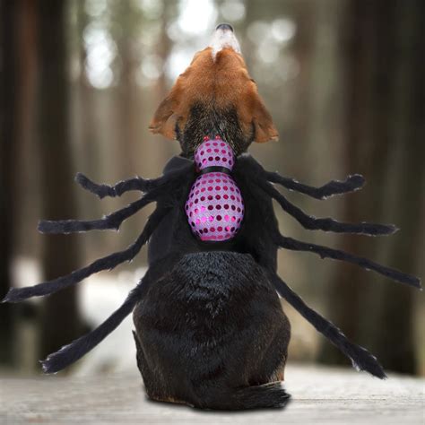 Dog Spider Costume