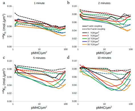 Agent-Based Modeling of T Cell Receptor Cooperativity