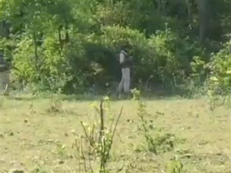 3 suspected terrorists spotted in J&K's Udhampur | Bhaskar English
