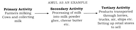 NCERT Solutions Class 6 Social Studies Economic Activities Around Us ...