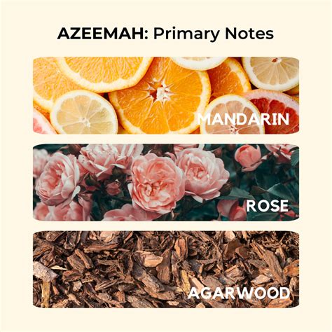 Masculine Perfumes – SCENTKART