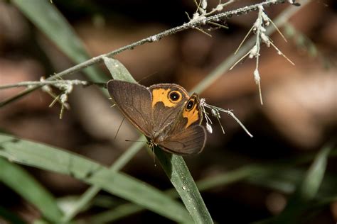 Pixabay Free High Resolution 的图像结果