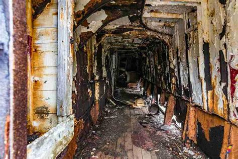 Define Decay, Decay Meaning, Decay Examples, Decay Synonyms, Decay ...