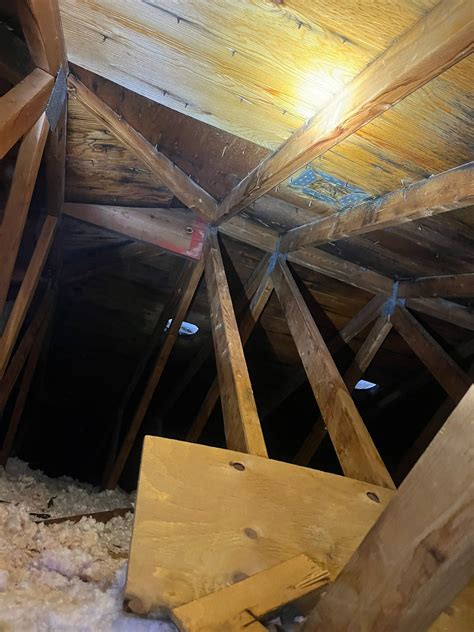 Why Is There Mold in My Attic? Causes, Prevention, and Solutions Mold ...