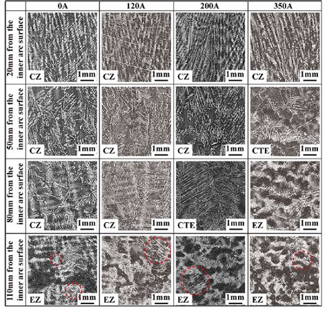 Dendritic Pattern 的图像结果