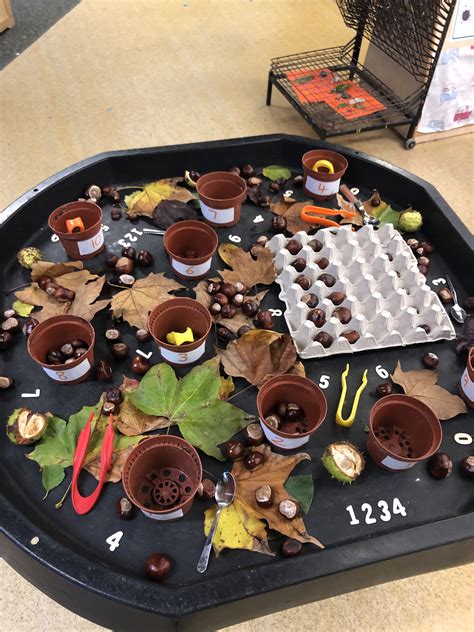 Autumn Tuff Tray with Plants and Seeds