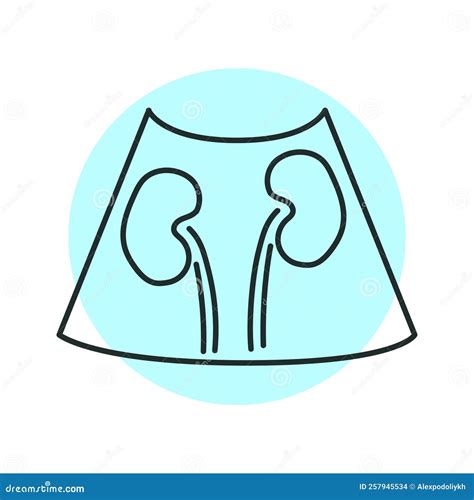 Rezultat imagine pentru Color Line