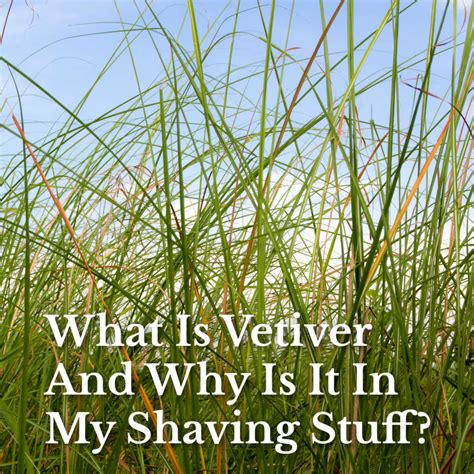 What Is Vetiver And Why Is It In My Shaving Stuff? - Sharpologist