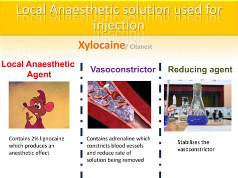 Surface Anesthesia 的图像结果