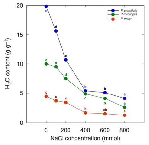 Water Content of Plant Tissues: So Simple That Almost Forgotten?