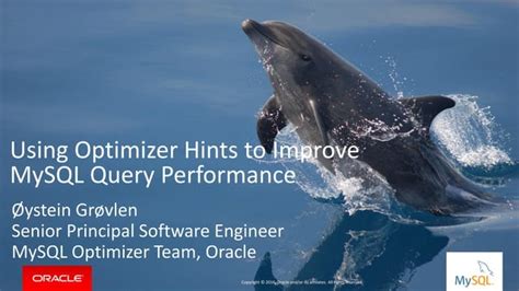 Image result for MySQL Query Optimizer