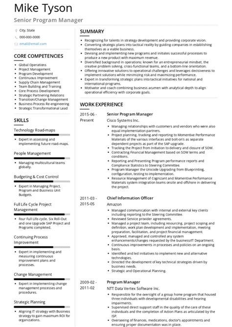Image result for Program Manager Resume Examples