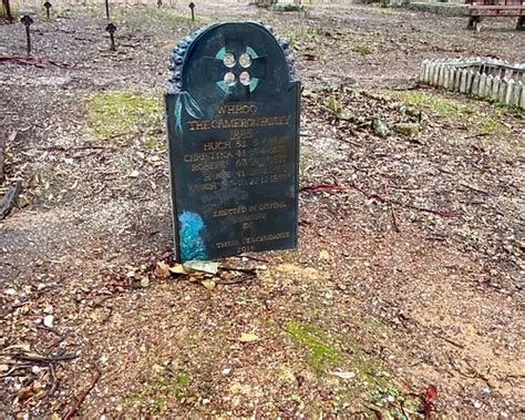 BEST Places to Visit in Whroo - UPDATED 2023 (with Photos & Reviews ...