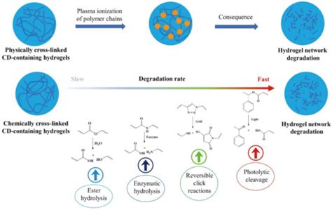 Cyclodextrin-Containing Hydrogels: A Review of Preparation Method, Drug ...
