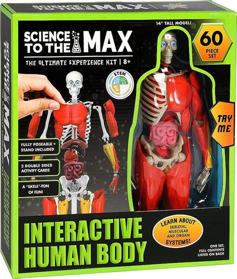 Interactive Human Anatomy