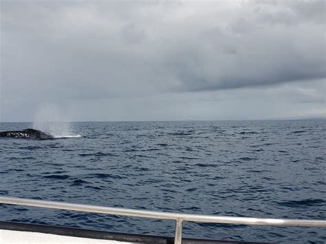 MANINGORY HÔTEL RESTAURANT (Ile aux Nattes) - Hotel Reviews, Photos ...