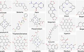 Image result for Photosensitizers