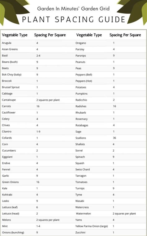 Space Between Plants 的图像结果