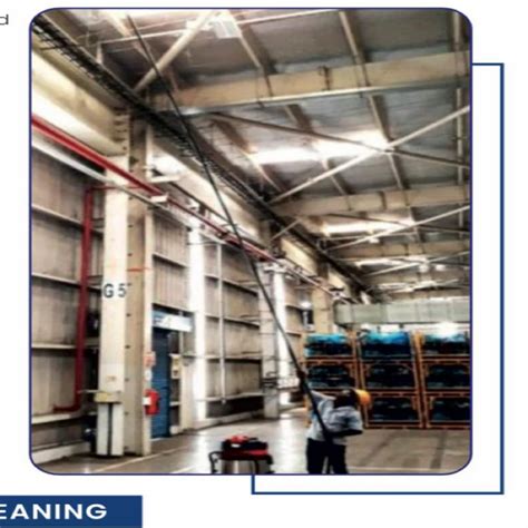 Spider Web Removal 的图像结果