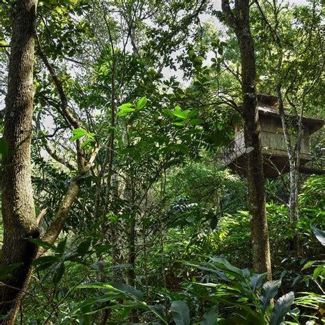 VANYA TREE HOUSE (Kumily) - Campground Reviews & Photos - Tripadvisor