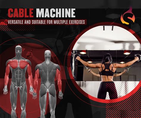 Image result for Weight Gym Using Machines