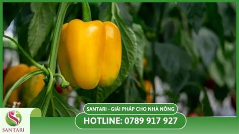 Image result for Restaurant Website Project Using HTML and CSS Simple Website