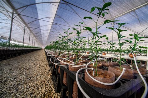 Image result for Using Natural Resources