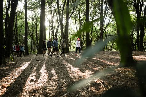 Mexico City: The Unintentional Adventure Travel Destination