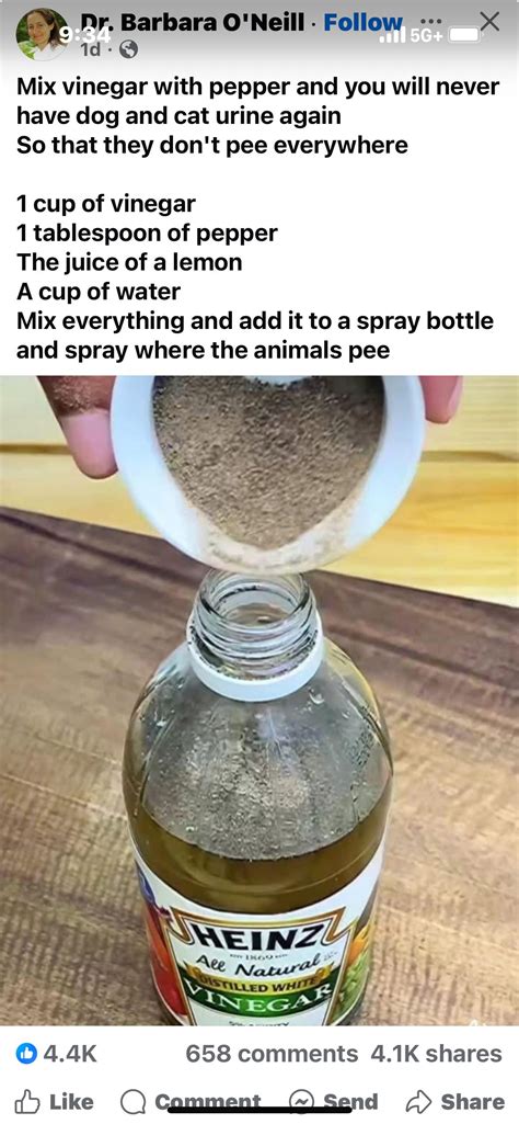 Pin by Coronav on Cleaning solutions | Pet odor remover, Diy dog stuff ...