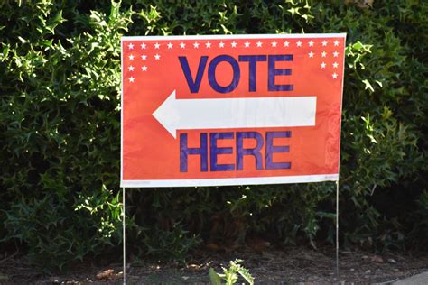 Metro Atlanta election workers mount David-and-Goliath fight against ...