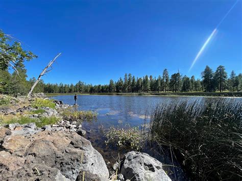 White Horse Lake Campground in Kaibab National Forest, Arizona: Reviews ...