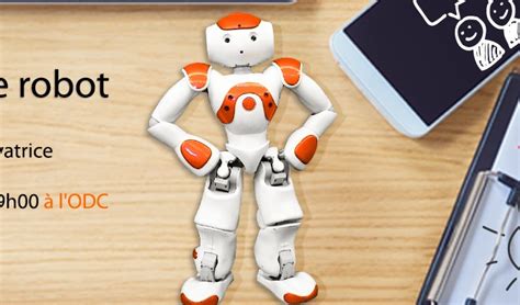 Nao Le Robot 的图像结果