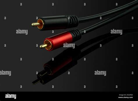 RCA Audio Cable 的图像结果