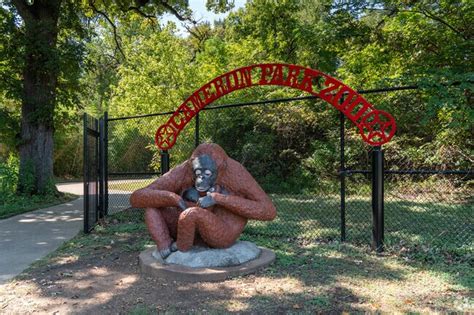 Waco, TX City Guide | About Living in Waco - Homes.com