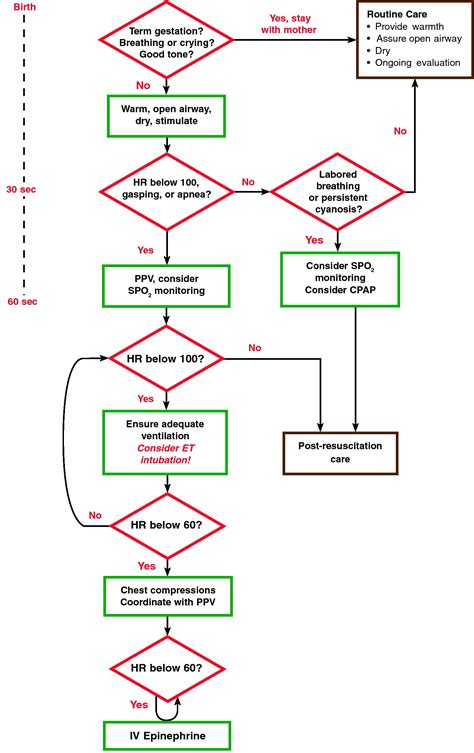 Part 11: Neonatal resuscitation - Resuscitation