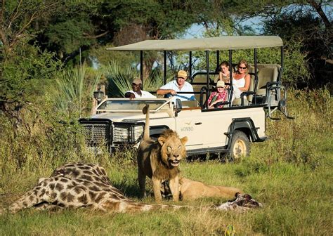 3-DAY MASAI MARA JOINING SAFARI WITH LAND CRUISER (2026) All You Need ...