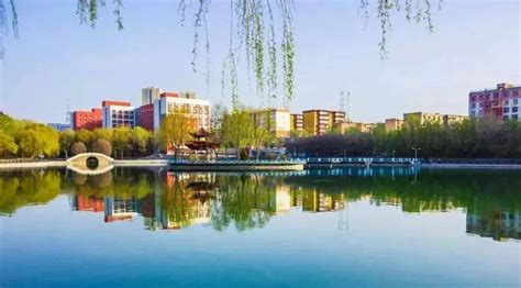 新疆大学-VR全景城市