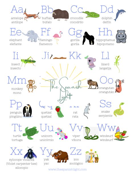 Animals That Start With The Letter Z In Spanish at Terry Rousseau blog
