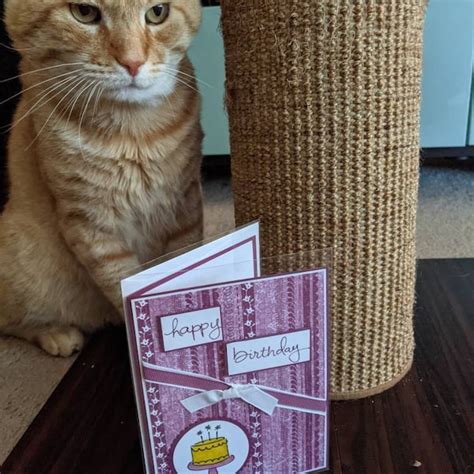 Fold Birthday Cards 的图像结果