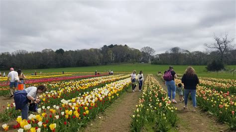 Springtime in New England | Experience Rhode Island Tours