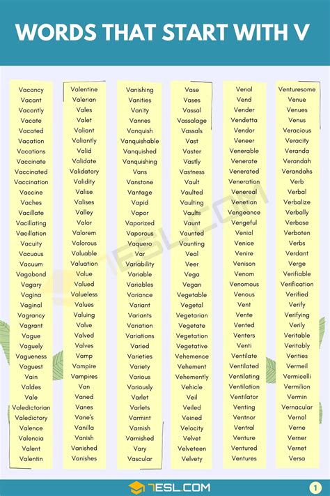 V Words Vocabulary