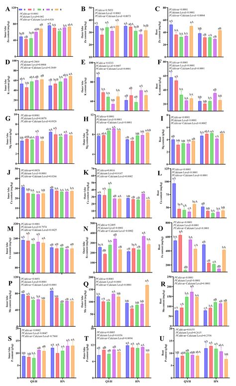 Quality Response of Two Mini Chinese Cabbage Cultivars to Different ...