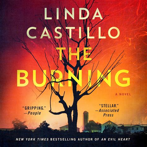 The Burning: A Novel (Kate Burkholder, 16): Castillo, Linda, McInerney ...