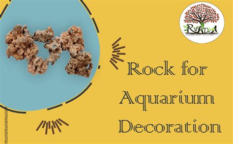 RUKDA® Authentic Natural Hole Congo Rock: Versatile Stone for Aquariums ...