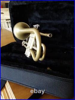 Image result for Cornet Musical Instrument