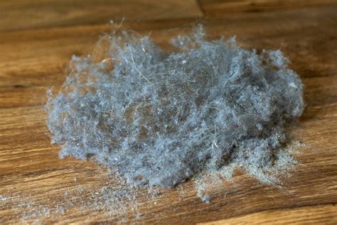 A pile of dust, dirt and hair lies on a wooden floor during cleaning ...